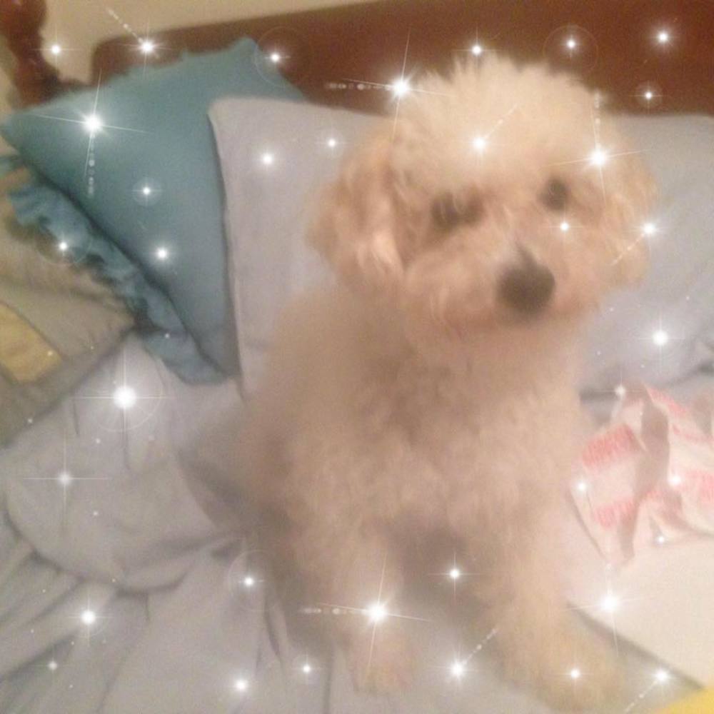 Meet your Posher, Anna